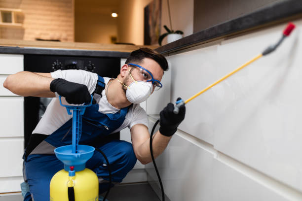 Best Flea Control Services  in North Bonneville, WA