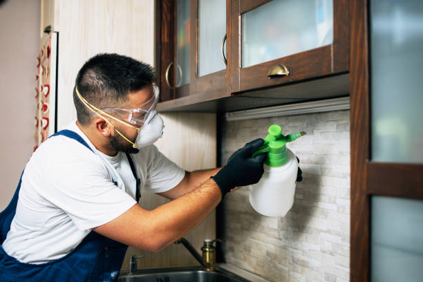 Best Affordable Pest Control Services  in North Bonneville, WA
