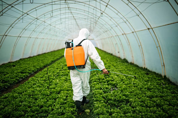 Best Pest Control Near Me  in North Bonneville, WA