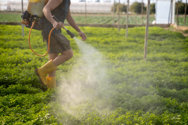 Best Residential Pest Control  in North Bonneville, WA