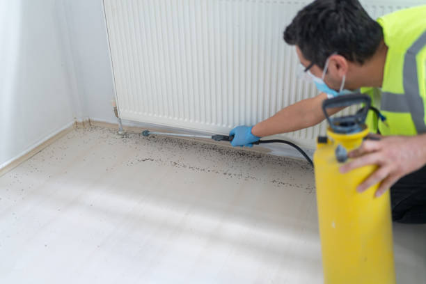 Best Affordable Pest Control Services  in North Bonneville, WA