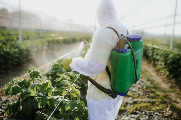 Best Bed Bug Extermination  in North Bonneville, WA